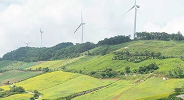 Grüne Landschaft mit Windrädern
