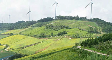 A green landscape with wind turbines.